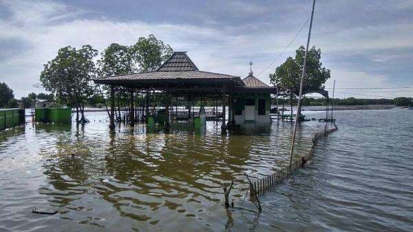 5 Hari Banjir Rob Rendam Kabupaten Bekasi: Muaragembong dan Tarumajaya Lumpuh