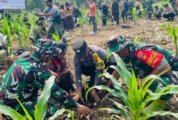 Perhutani KPU Purwodadi Lakukan Penanaman Tanaman 2024, Upaya Cegah Bencana