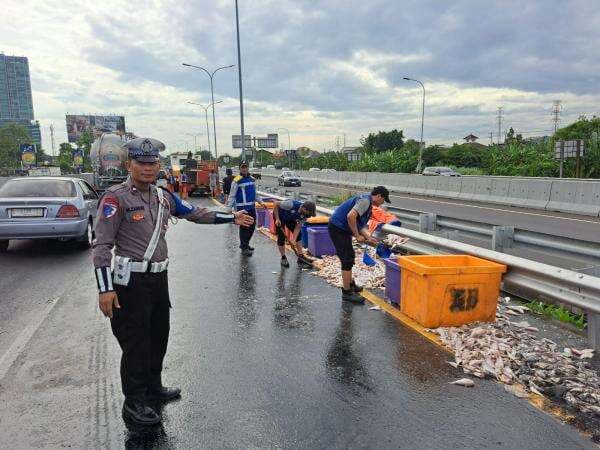 Truk Terguling di Tol Waru, Ribuan Ekor Ikan Berserakan