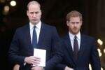 Dihajar Pangeran William hingga Luka, Harry Langsung Adukan Sikap Kasar sang Kakak