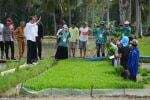 Dikunjungi Jokowi, Petani Bone Sumringah Dapat Bantuan Pompa Irigasi