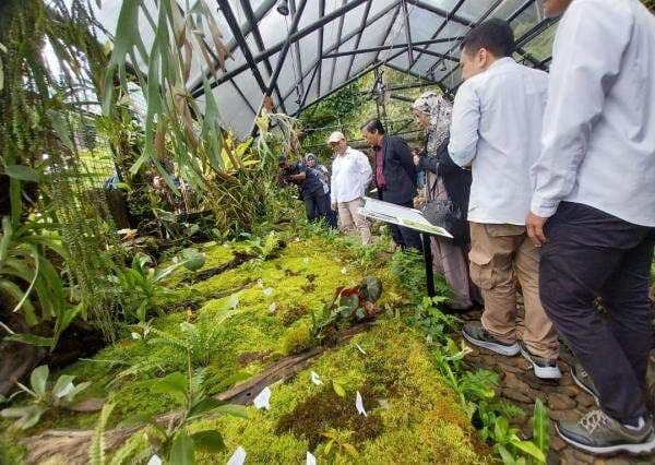 Di Rumah Kaca Nepenthes Kebun Raya Cibodas, Ternyata 80 Jenis Koleksi Tanaman Jenis Kantong Semar