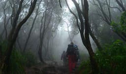 10 Tips Aman Mendaki Gunung di Musim Hujan, Persiapkan Diri Demi Keselamatan dan Kenyamanan