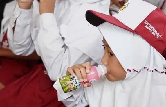 Uji Coba Program Gizi Gratis Siswa, KUD Susu Batu Siap Pasok Susu