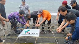 Banyuwangi Kian Serius Lestarikan Laut, 2.000 Bibit Terumbu Karang Ditanam di Pantai Sengkong