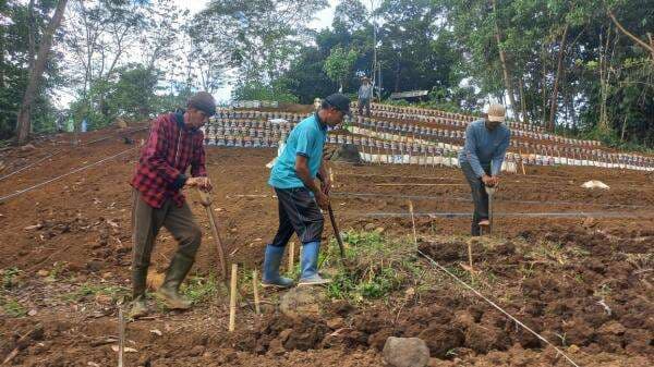 Warga Sukapura Tasikmalaya Ubah Lahan Terbengkalai dan Limbah Plastik Jadi Lahan Hijau Produktif