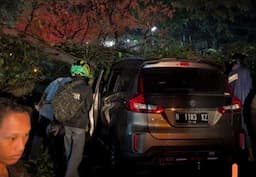 Pohon Tumbang Timpa Mobil di Jalan Raya Karanglo Malang, Dua Orang Meninggal Dunia