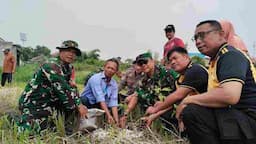 Program Panglima TNI, Koramil & Polsek Colomadu Tanam Bibit Pohon Sukun  demi Ketahanan Pangan