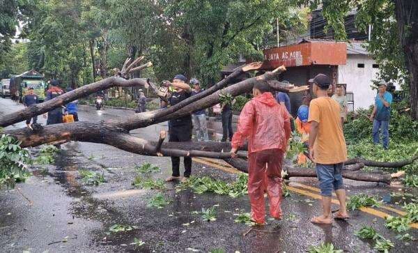 Ibu dan Anak Jadi Korban Pohon Tumbang di Jalan Kusuma Bangsa Lamongan