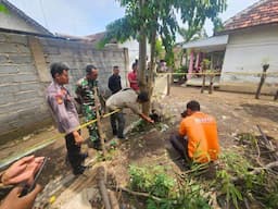 Warga Selogudig Probolinggo Temukan Granat Nanas, Diduga Peninggalan Jaman Belanda