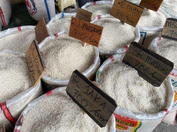 Harga Beras di Indonesia Timur Masih Tinggi, Ini Penjelasan Bapanas Harga Beras di Indonesia Timur Masih Tinggi, Ini Penjelasan Bapanas