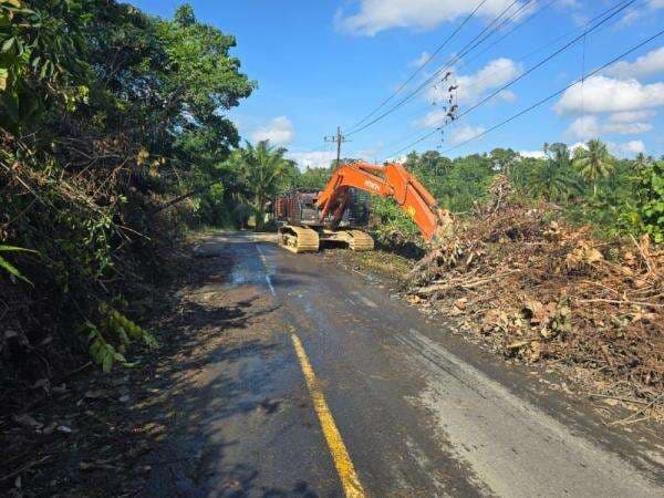 12 Jaringan Jalan Nasional di Sumut Sudah Bisa Dilalui Pascabencana 12 Jaringan Jalan Nasional di Sumut Sudah Bisa Dilalui Pascabencana