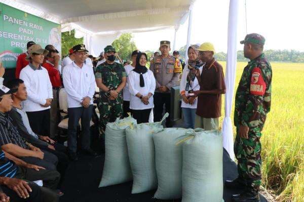 Serapan Gabah di Bulog Bojonegoro Tembus 147 Persen, Melebihi Target Serapan Gabah di Bulog Bojonegoro Tembus 147 Persen, Melebihi Target