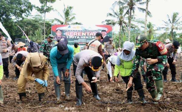 Demi Ketahanan Pangan, Polresta Banyuwangi Dukung Penanaman Jagung Serentak 1 Juta Hektar