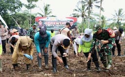 Demi Ketahanan Pangan, Polresta Banyuwangi Dukung Penanaman Jagung Serentak 1 Juta Hektar