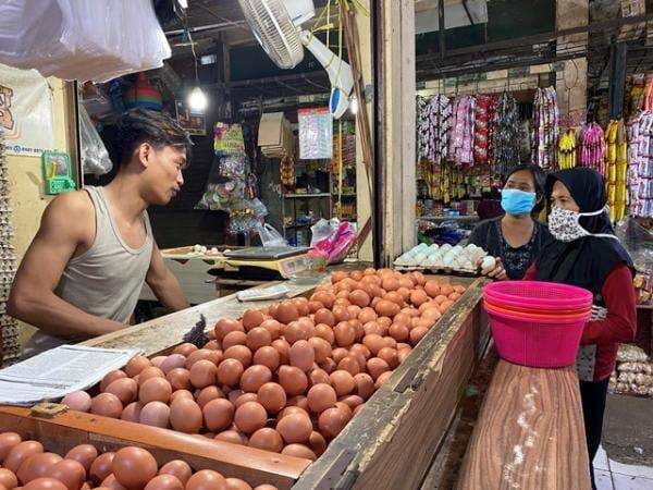 Bapanas Pastikan Stok Telur Ayam Aman hingga Lebaran 2026 Bapanas Pastikan Stok Telur Ayam Aman hingga Lebaran 2026