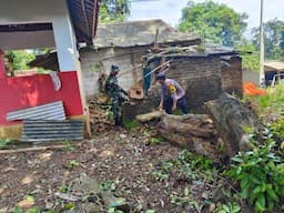 TNI Responsif, Bantu Rumah Warga yang Tertimpa Pohon Tumbang di Kuningan