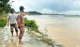 Kepala Pekon Parerejo Tinjau Sawah Terendam Banjir