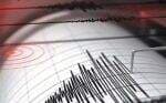 Gempa Susulan M6,5 Guncang Tuban, Warga Panik Berhamburan Keluar Rumah