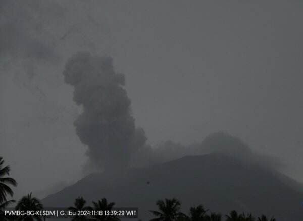 Breaking News! Gunung Ibu di Maluku Utara Meletus, Muntahkan Abu Vulkanik