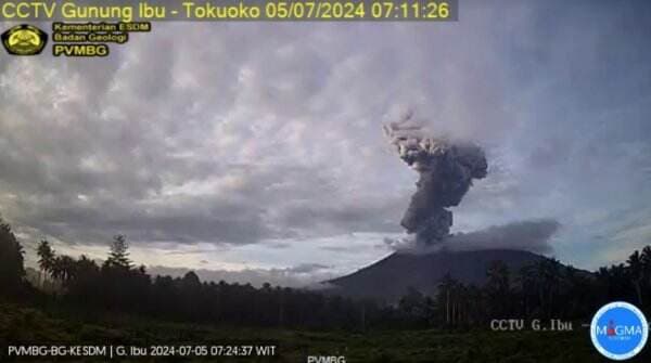 Gunung Ibu 2 Kali Erupsi hingga Siang Ini, Semburkan Abu Vulkanik 3 Km