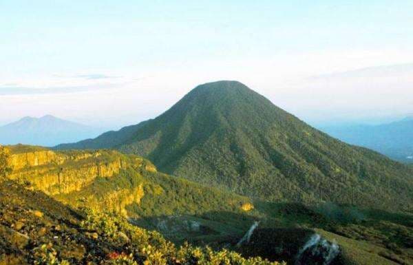 KUIS: Menjelajahi Alam Gunung Gede KUIS: Menjelajahi Alam Gunung Gede