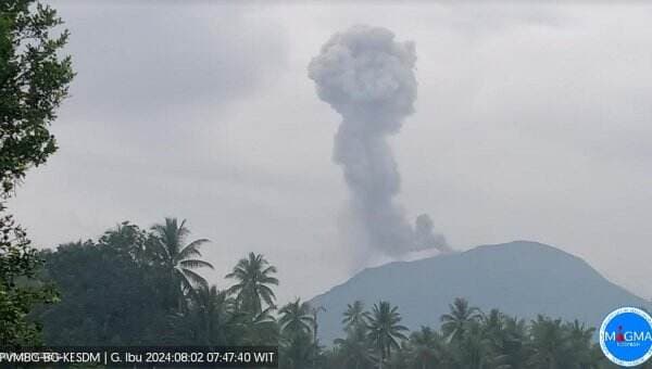 Gunung Ibu Erupsi Pagi Ini, Luncurkan Abu Vulkanik 1.000 Meter