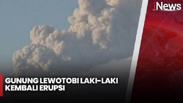 Gunung Lewotobi Laki-Laki Erupsi Siang Ini, Luncurkan Abu Vulkanik hingga 1.100 Meter