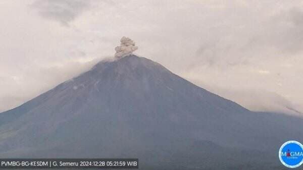 Gunung Semeru Meletus Hari Ini, Luncurkan Abu Vulkanik 1.200 Meter