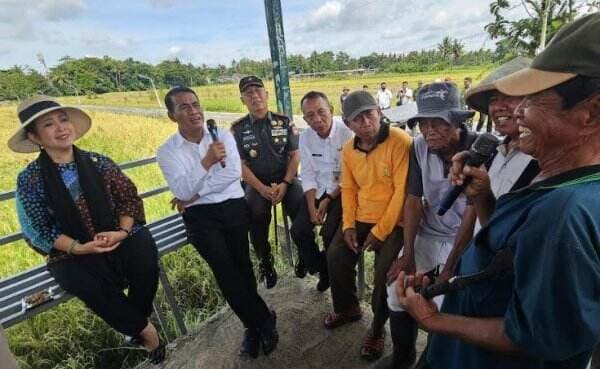 Bulog Diminta Beli Gabah Petani Rp6.500 per Kg, Mentan Amran: Tak Boleh Ditawar