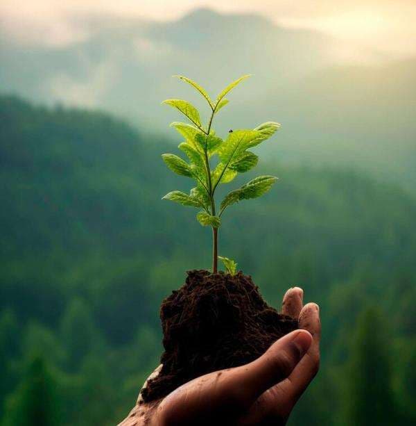 KUIS: Apa Nama Gerakan Mengurangi Plastik Sekali Pakai? KUIS: Apa Nama Gerakan Mengurangi Plastik Sekali Pakai?