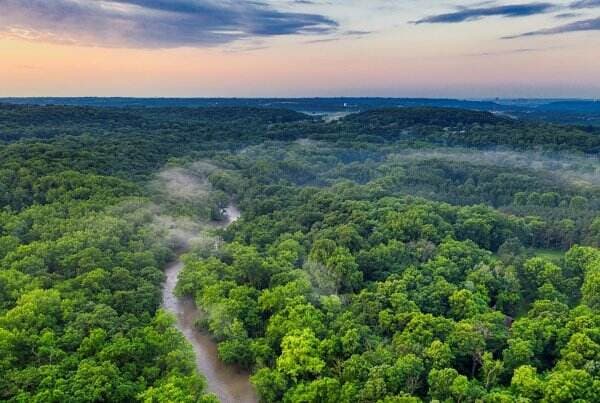 Gawat! Hutan Amazon Kian Menyusut, Areanya Hilang Seluas Jerman dan Prancis