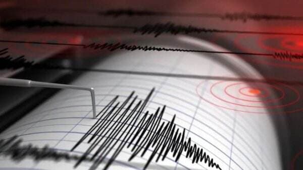 Pidie Jaya Diguncang Gempa M4,7, Dipicu Aktivitas Sesar Besar Sumatera