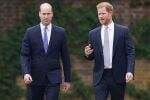 Ini Perkataan Pedas Pangeran William yang Bikin Harry Sakit Hati