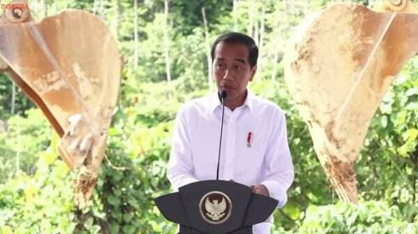 Jokowi: Persiapan Upacara 17 Agustus di IKN Tak Ada Masalah