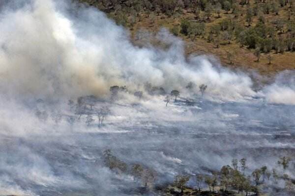 Karhutla Hanguskan Lahan di Kawasan Sekitar B29 TN Bromo Tengger Semeru