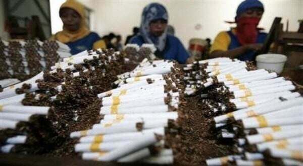 DPR Nilai Pengetatan Aturan Rokok Berpotensi Timbulkan PHK Massal