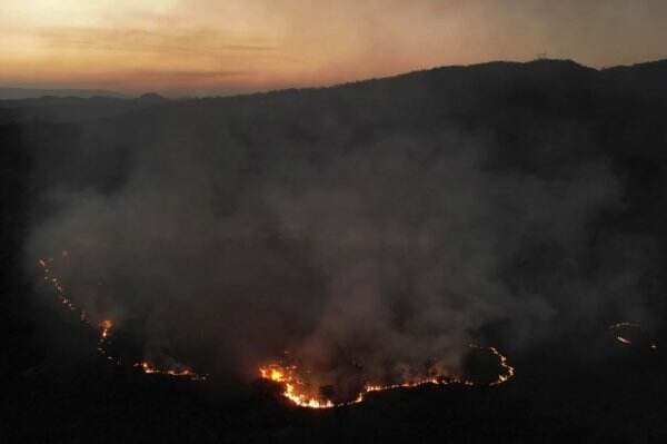 Kekeringan Terburuk Selama 60 Tahun Picu Kebakaran Hutan dan Pemadaman Listrik