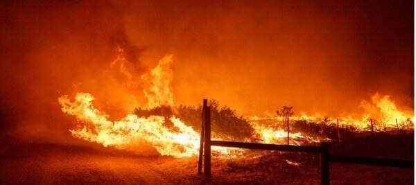 Kebakaran Hutan di California Bakar 12.000 Hektar Lahan, Paksa Evakuasi 1.000 Orang