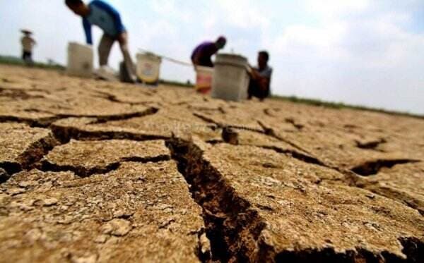 Musim Kemarau, 856 Hektare Sawah di Kabupaten Bandung Alami Kekeringan