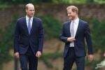 Kesal dengan Pangeran William, Harry Pilih Putuskan Hubungan dengan sang Kakak