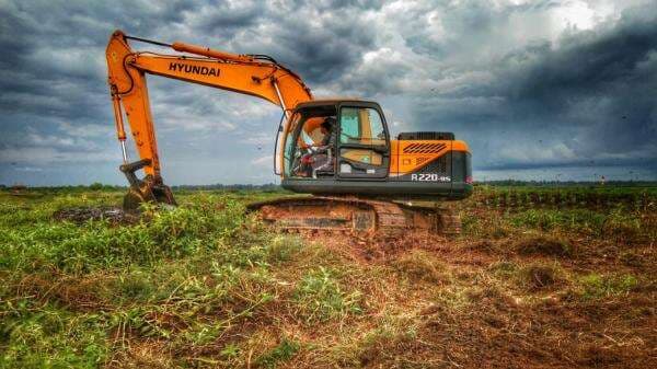 Sulap Lahan Marginal, Budidaya Serai Wangi Jadi Cuan Sulap Lahan Marginal, Budidaya Serai Wangi Jadi Cuan