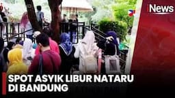 Keseruan Libur Nataru di Bandung Zoo, Ada Parade Satwa yang Menyenangkan!