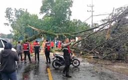 Hujan Angin Porak Porandakan Malang, Pohon Tumbang Putuskan Akses Jalan dan 1 Orang Luka Parah&nbsp;