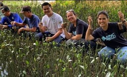 MNC Peduli bersama Hotel Golden Tulip Lampung Berikan CSR Bibit Mangrove