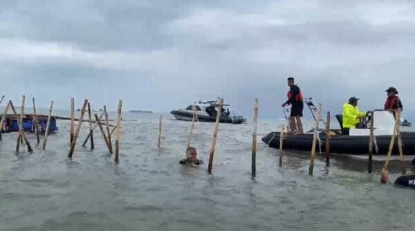 Pagar Laut Misterius Muncul Kembali, Begini Respons KKP