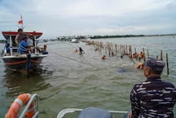 Update Pembongkaran Pagar Laut Tangerang: 15,5 Km Berhasil Dicabut TNI AL