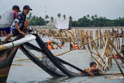 KKP Temukan Pagar Laut Misterius Lagi, Kali Ini di Serang Banten!