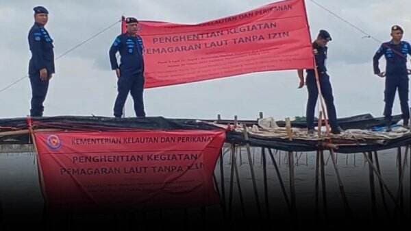 Penampakan Udara Pagar Laut Misterius yang Membentang di Perairan Tangerang