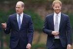 Pangeran Harry Ancam William, Tuntut sang Kakak Minta Maaf